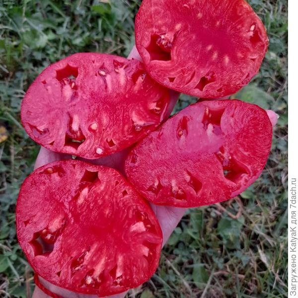 Древнее сердце Акви Терме