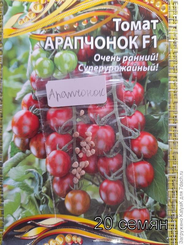 арапчонок