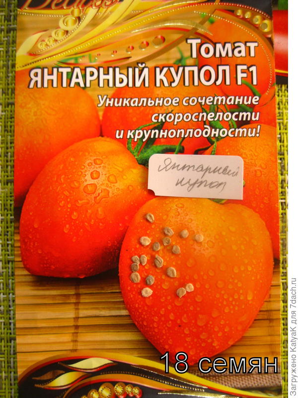 янтарный купол