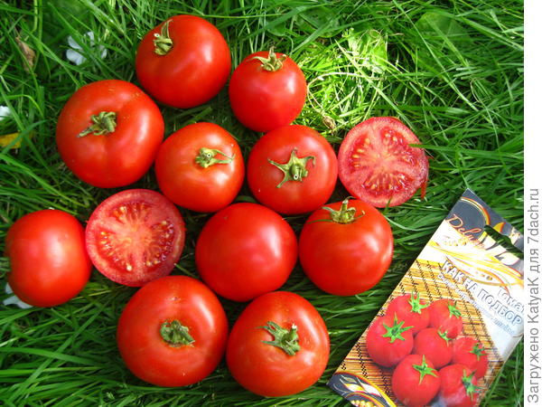 Как на подбор