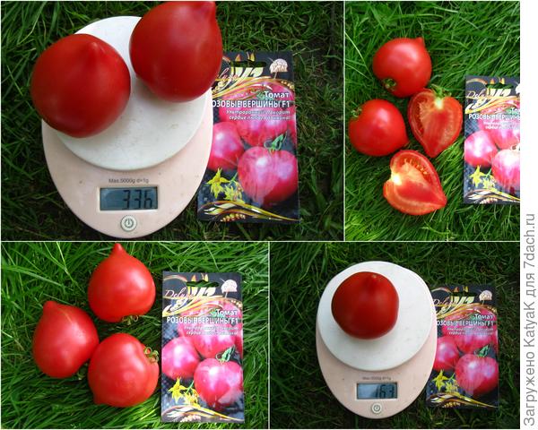 Розовые вершины