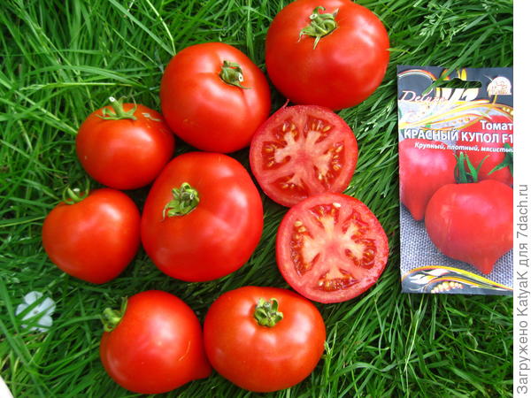 красный купол