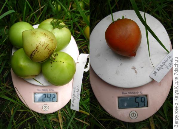 28 сентября кк