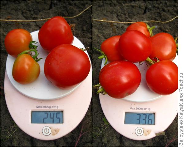 5 сентября как на подбор