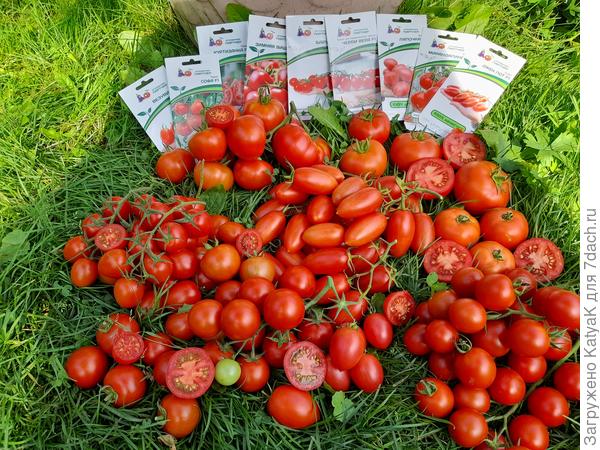 Тестирование Партнер