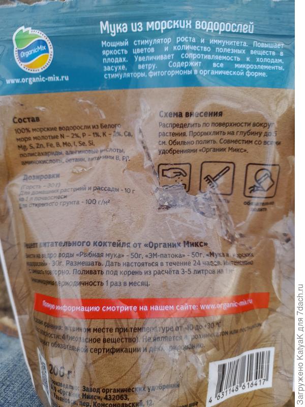 морские водоросли