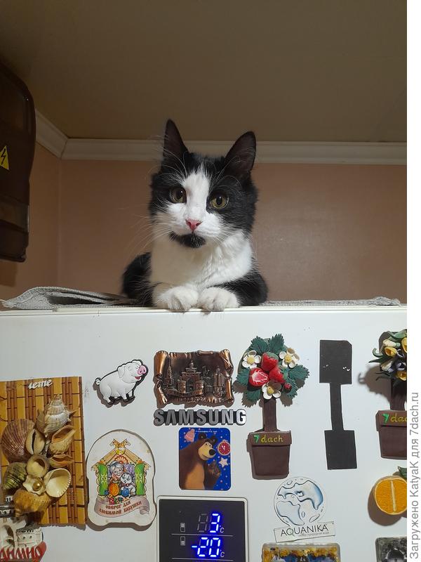 Её величество.