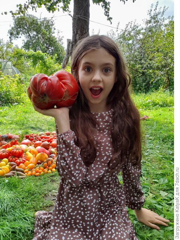 С вот и рекордсмен