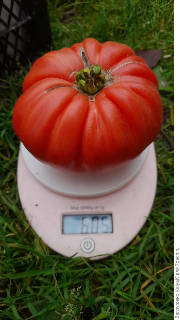 Все не маленькие