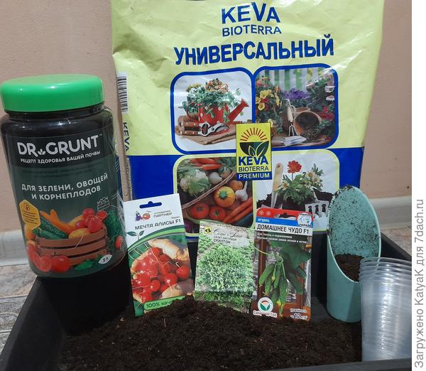 Все готово для эксперимента