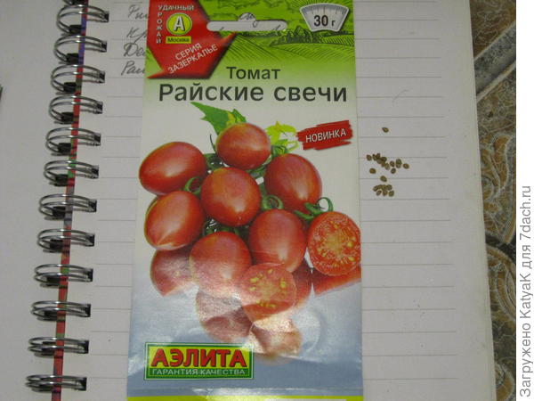 райские свечи