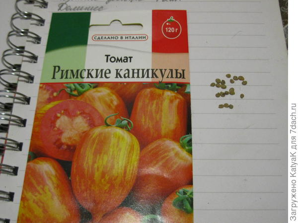 римские каникулы