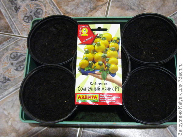 5 горшочков по 0,5