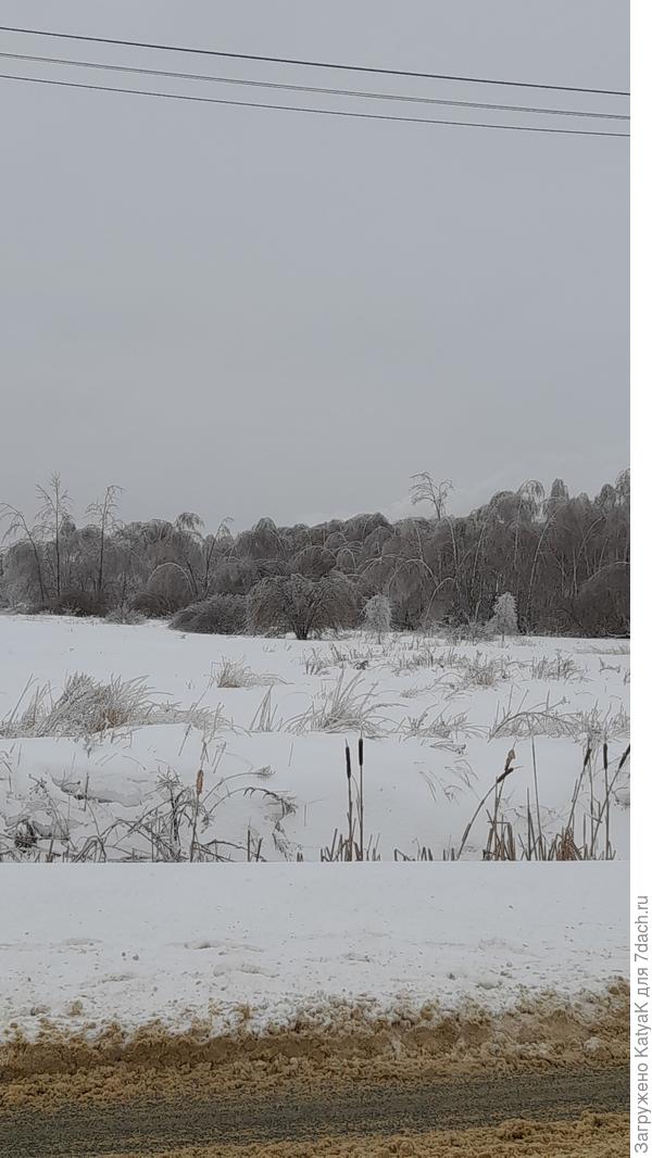 Ледяной дождь