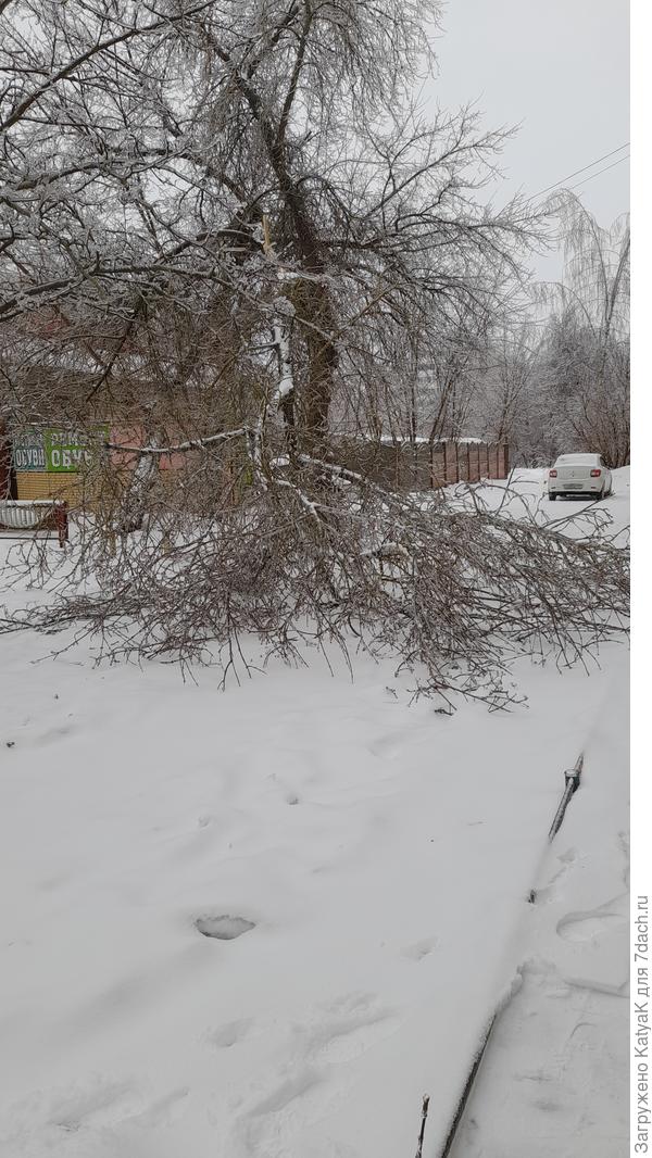 Ледяной дождь