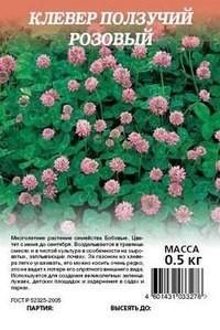 Вот семена, которые я купила