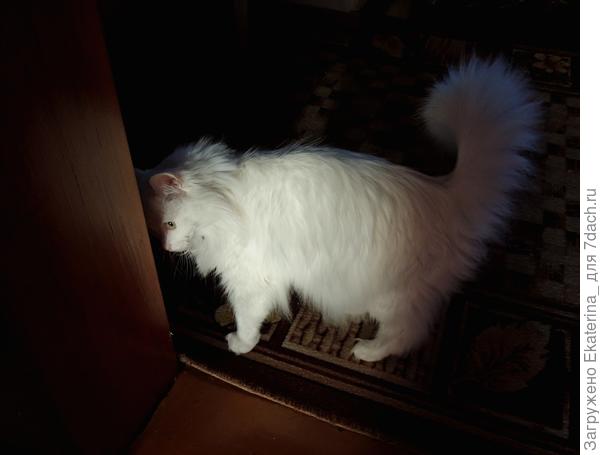 Девушка смущается