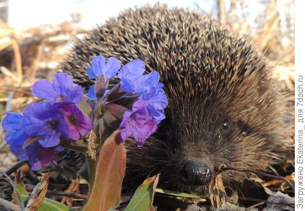 Изучающий взгляд