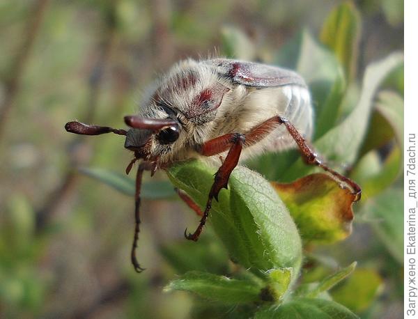 Тааак... Что бы еще сожрать...