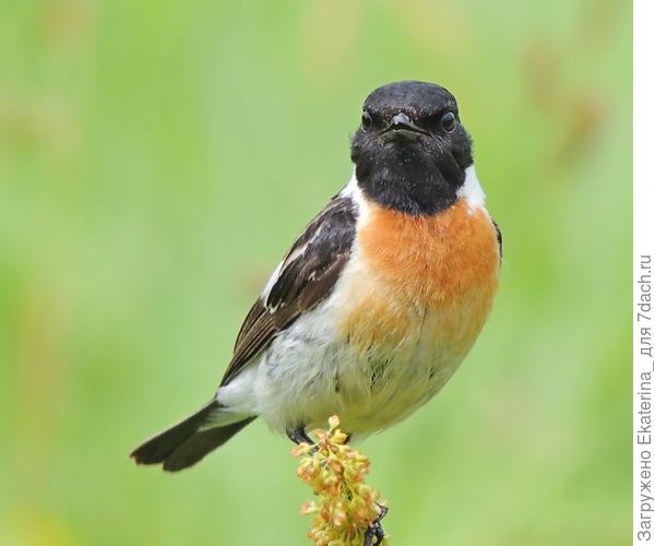 Что значит не фотогеничный?