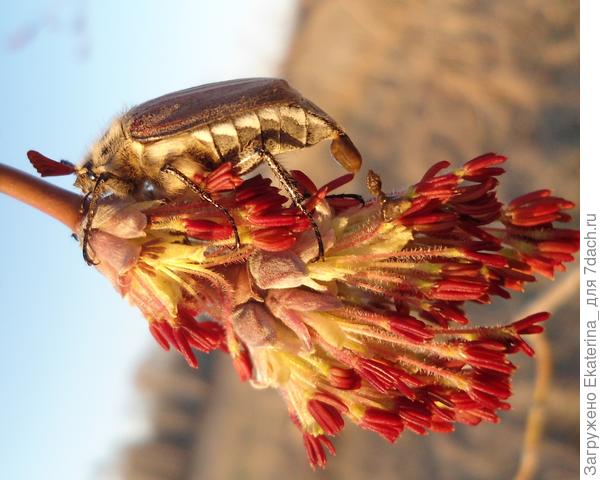 с облегчением...:D