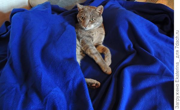 ну и, наконец, победитель собственной персоной. Имеет право полежать:)