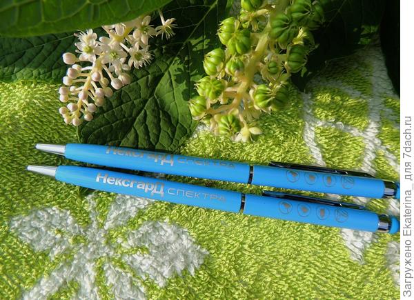 две авторучки с логотипом