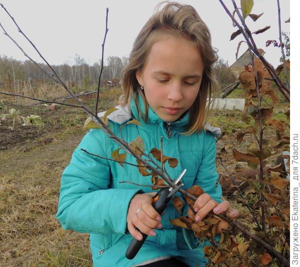 первая проба в действии
