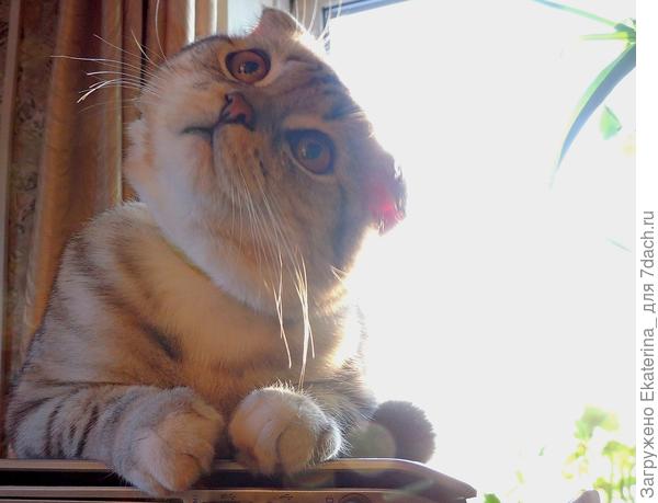 утро, к играм готов!