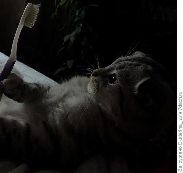 Не буду я зубы чистить