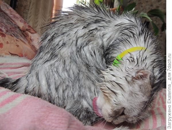 После бани домывается по своему