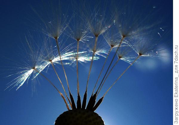 В кантровом свете волшебное космическое настроение