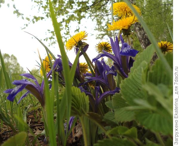 ...хоть откуда смотри