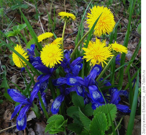 Прекрасное природное соседство...