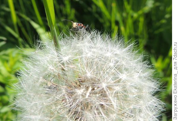 нет, точно не спит, я тоже проверил!(подтвердил верхний товарищ) :)