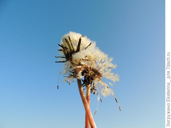 Доживём ли до вечера...