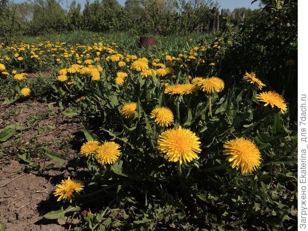 пора собирать