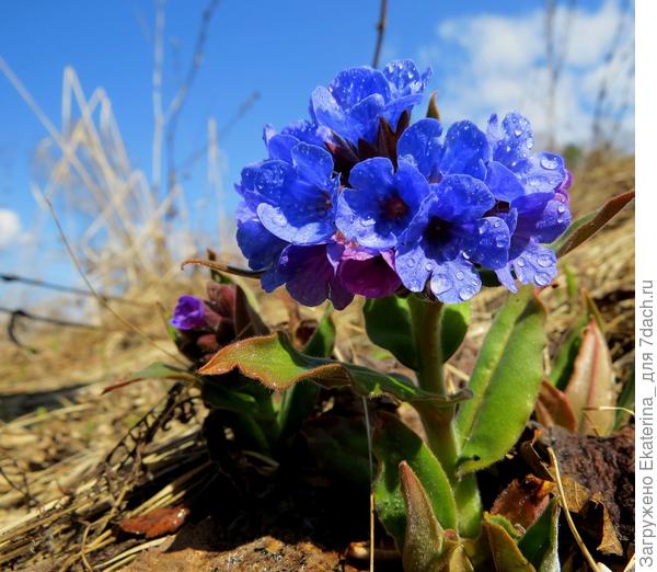 пусть жизнь дарит радостные тона и великолепные оттенки