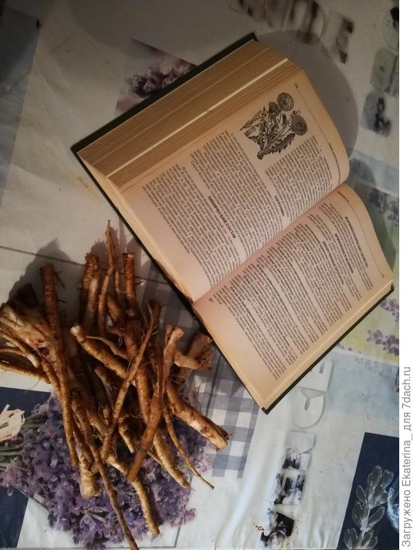 почистила, помыла, прочитала, как правильно сушить. Пусть приносит пользу:)