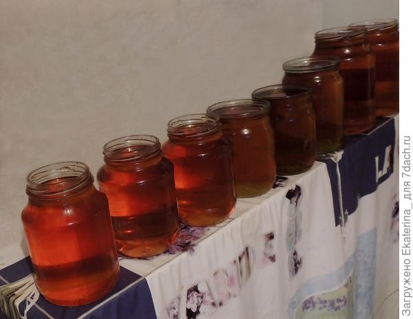 выход готового продукта