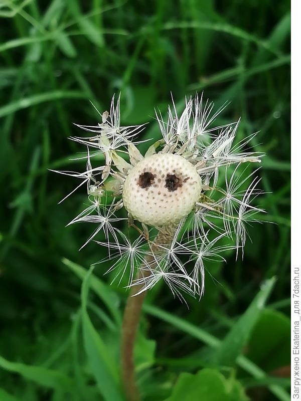 как же так? как-будто вопрошали они