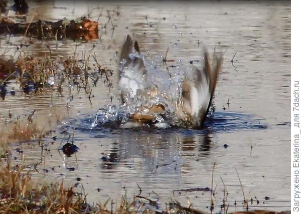 Однозначно!!