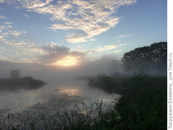 вот я и пришла на моё любимое место. Солнце уже поднялось над горизонтом, но закрыто тучами и туманом