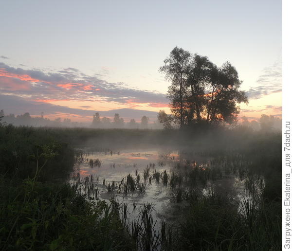 по пути к намеченному месту следования небольшое озерко, солнце ещё не взошло