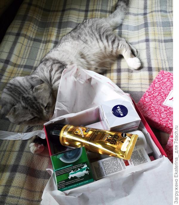 Ну, наконец-то!