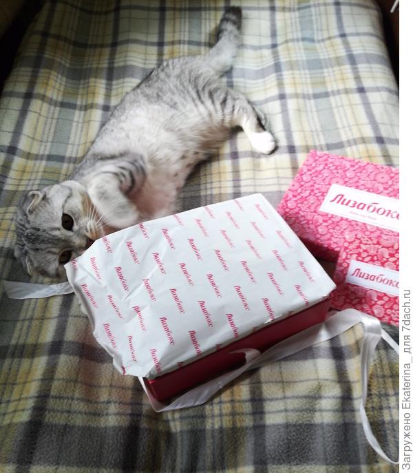 Ох, опять ничего не видно&amp;amp;hellip;