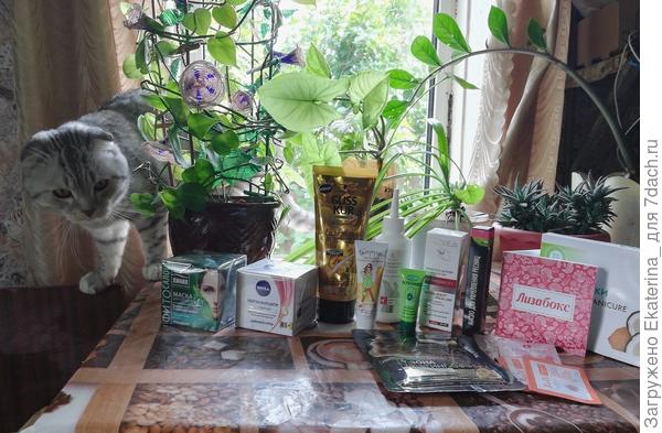 Всё расставлено, пойду изучать