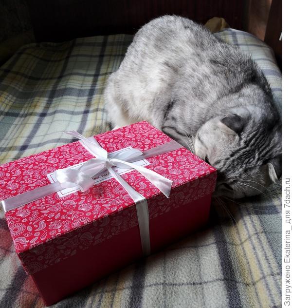 2.	О! Розовая коробочка, перевязанная белой ленточкой с бантиком! Как бы туда попасть?