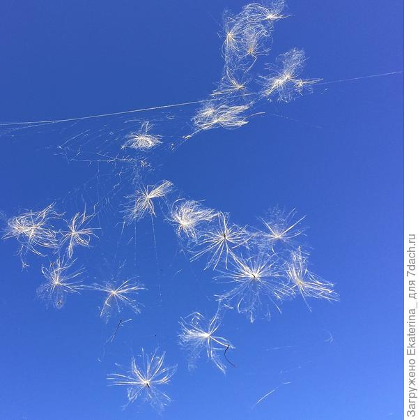 и наполнен положительными эмоциями