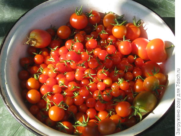 Дюймовочка.